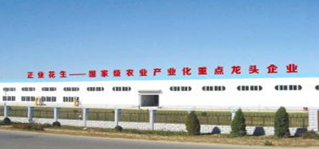 遼寧正業花生產業：共抗疫情，龍頭企業顯擔當！