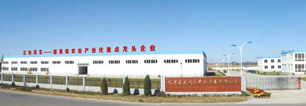 遼寧正業花生產業：共抗疫情，龍頭企業顯擔當！(圖1)